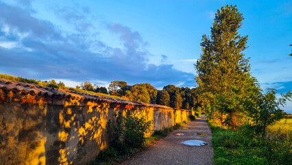 Fototapeta premium landscape and fences