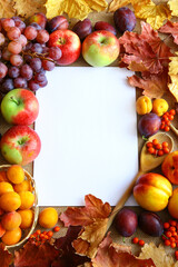 Culinary background with autumn fruits and white card