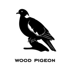 Wood pigeon logo isolated on white background. Pigeon silhouette. Minimalist Britain's dove icons vector illustration