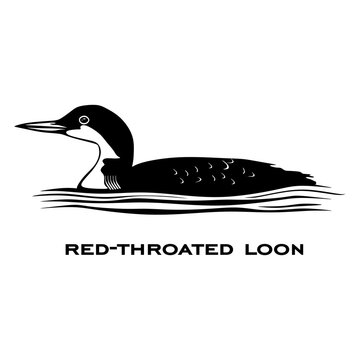 Red-throated loon logo isolated on white background. Red-throated loon silhouette. Minimalist vector illustration