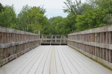 wooden bridge in the woods