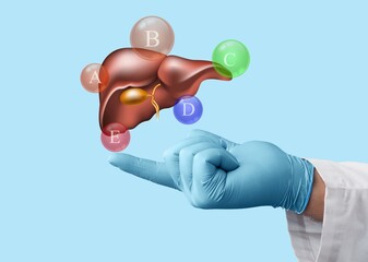 World hepatitis day concept. Doctor hands holding liver with virus symbol for diagnosis types of...