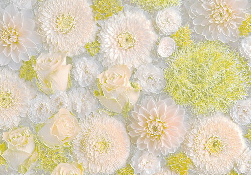 Relief of roses, dahlias and ｍums. Floral background. 3D illustration. 3D render