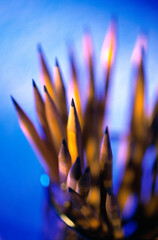 Close-up of pencils