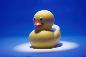 Close-up of a rubber duck