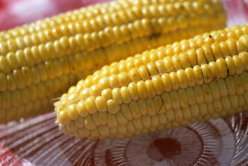 Close-up of corn on the cob