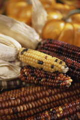 Close-up of dried Indian corn and pumpkins