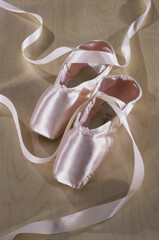 Pair of ballet slippers © SuperStock