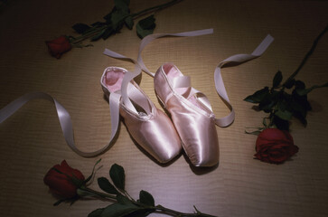 Pair of ballet slippers with three roses © SuperStock