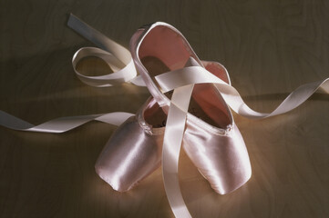 Pair of ballet slippers