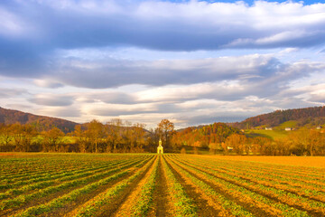 Agricultural fields and yellow little chapel in the charming town of Rein (famous for the beautiful Rein Abbey) near Graz, Steiermark, Austria