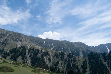 Obraz premium landscape with clouds