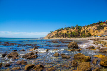 a gorgeous summer landscape at the beach with blue ocean water and cliffs covered in green grass and plants with lush green palm trees and rocks along the sand with a gorgeous clear blue sky - obrazy, fototapety, plakaty