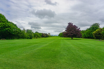 Fototapeta premium Kilkenny, Ireland: The Park at Kilkenny Castle. The castle was built in 1195 to control a fording-point of the River Nore.