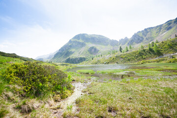 Lagorai mountain range landscape, italian Alps