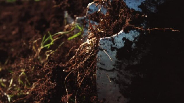 Trator maquinas agr&iacute;colas fazenda