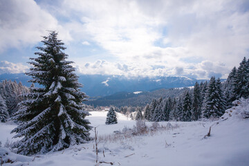 Winter landscape with snow from Asiago upland