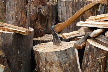 Preparation of firewood for furnace heating. Sawn tree trunks for the fireplace