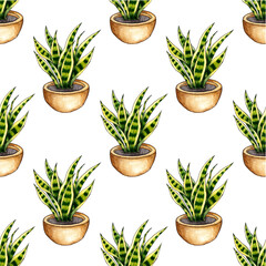 Watercolor illustration of a pattern of herbs in a pot. It's perfect for postcards, posters, banners, invitations, greeting cards, prints. Isolated on white background. drawn by hand.
