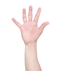  hand and showing 5 fingers gesture isolate