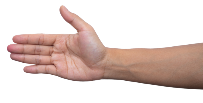  hand and showing 5 fingers gesture isolate