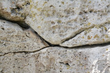 Closeup view of stone covered with lichen as background