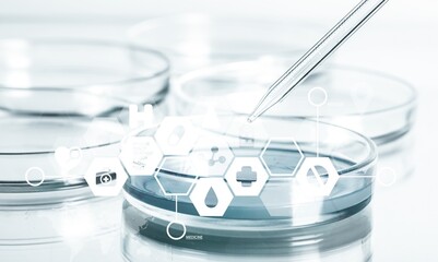 Transparent liquid gel in petri medical dish with pipette on the desk.