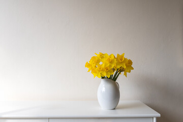 Close of up daffodils in white vase on table against wall with copy space (selective focus)