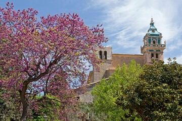 Former Carthusian monastery in Valldemossa, Majorca, Spain, Europe