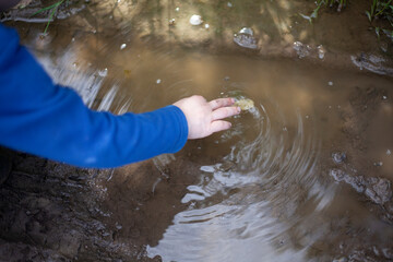 Child pulls dirt out of puddle. Child touches water. Boy searches for object in muddy puddle.