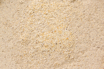 White pepper or peppercorns powder texture background , top view , flat lay.