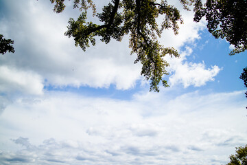 Obraz premium 하늘