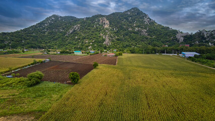 Obraz premium landscape with mountains. landscape in the mountains