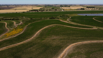 Aerial flyover green agricultural fields with industrial wind farm in background - Beautiful sunny and windy day in Nature