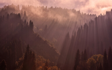 Rays of light and mixed autumn forest in the mountains