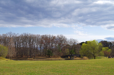Fototapeta premium 古河総合公園の広場