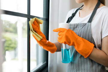 Beautiful housewife with rubber gloves and apron using spray bottle and microfiber towel to clean...