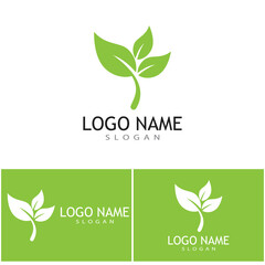 Green leaf illustration nature logo design