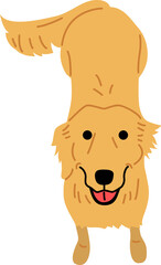 golden retriever illustration