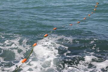 buoys in water
