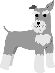 miniature schnauzer illustration