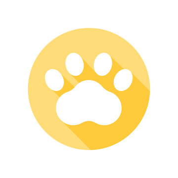 Dog and cat paws with sharp claws. cute animal footprints