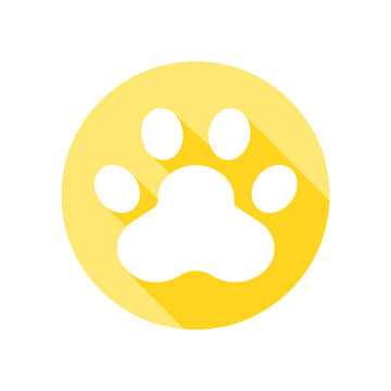 Dog and cat paws with sharp claws. cute animal footprints