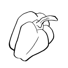 Pepper sketch isolated on white background. Doodle, Vegetables.