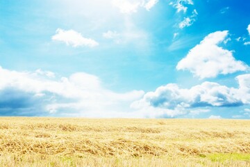 Blue sky over fields