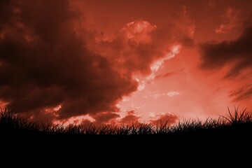 Red sky over grass