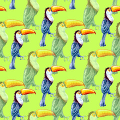 Toucan exotic tropical bird watercolor seamless pattern isolated © Ekaterina Lanbina