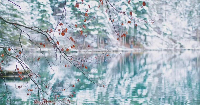 Scenic view of famous mountain lake Blausee located in the Kander valley above Kandergrund in the Jungfrau region, Switzerland. Romantic blue lake nature park in the Bernese Alps during winter season.
