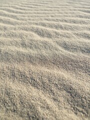 鳥取砂丘の砂波
