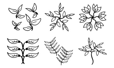 hand drawn set of leaf icons in doodle style